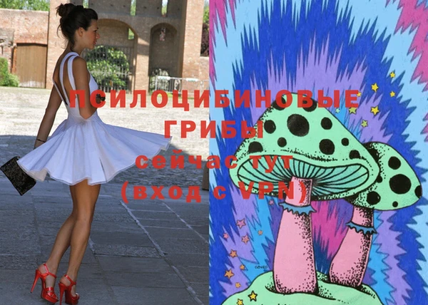 ешки Арсеньев