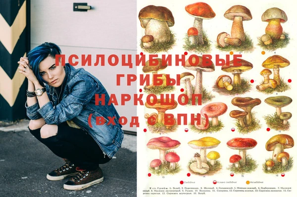 амфетамин Аркадак