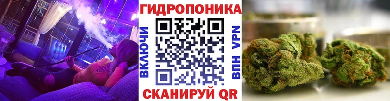 Бошки Шишки план  kraken маркетплейс  Нефтегорск 